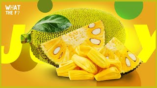 The WORLDS LARGEST FRUIT |The Journey of Jackfruit | A Tropical Delight