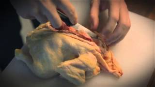 SPAR Tutorial | Deboning A Chicken Low Res