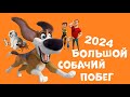 Большой собачий побег || Новинка Лучшим Мультфильмы 2024