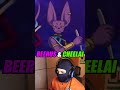 beerus and cheelai reaction🤣