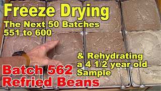 Freeze Drying - The Next 50 Batches - Batch 562 -  Refried beans, 10 lbs