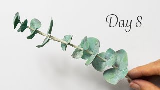 Eucalyptus | Day 8 | 30 Days of Sugar Flowers