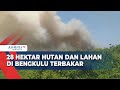 28 Hektar Hutan dan Lahan di Bengkulu Terbakar