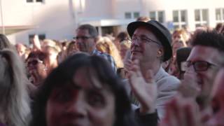 Mikael Wiehe - Intervju Trästockfestivalen 2014