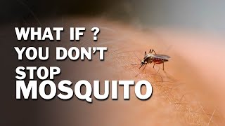 What If You Don’t Stop a Mosquito