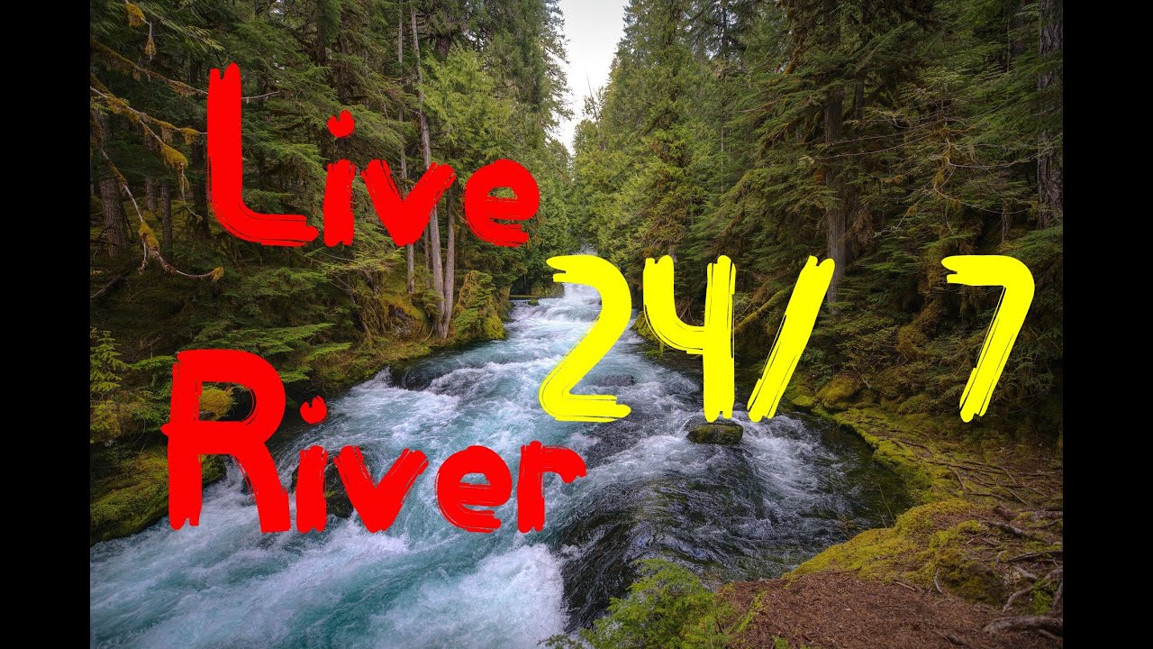 Relaxing River - HD Nature Video - Water Stream & Birdsong Sounds ...