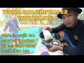 TUTORIAL CARA PEMUPUKAN AIR DIKOLAM TERPAL UNTUK BUDIDAYA LELE