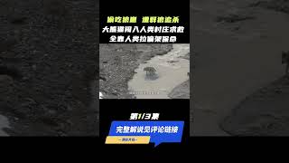 大熊猫为什么是黑白色，有人说是为了躲避天敌，大熊猫真有天敌吗？(part1/3) #shorts  #panda  #animals