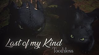 HTTYD || Toothless || Last Of My Kind || Happy New Year