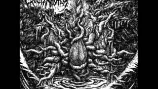 Cruciamentum - Convocation of Crawling Chaos