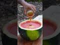 watermelon punch shorts