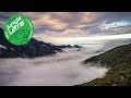 Jungle Ultra 2017 - Epic Drone moves in Manu National Park, Peru