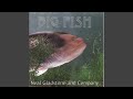 Big Fish