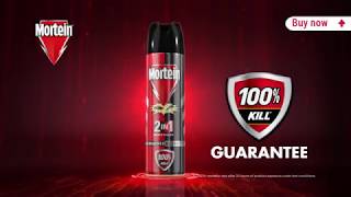 New Mortein 2 in 1 TVC