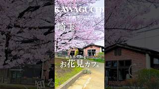 \\知る人ぞ知る/ お花見ベーカリーカフェ🌸 #川口グルメ #川口カフェ #川口ランチ #川口 #埼玉カフェ #埼玉ランチ #埼玉グルメ #埼玉 #お花見カフェ #桜カフェ #ヴィーガンカフェ