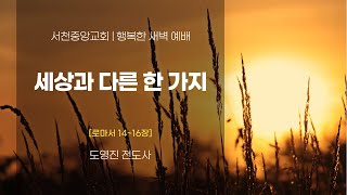 [서천중앙교회] 2024.12.4 행복한 새벽 예배 / 세상과 다른 한 가지(로마서 14~16장) / 도영진 전도사