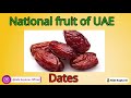 ஐக்கிய அரபு எமிரேட்ஸின் தேசிய சின்னங்கள் uae பற்றி அறிக குழந்தைகளுக்கான ஐக்கிய அரபு எமிரேட்ஸ் பற்றிய பொது அறிவு