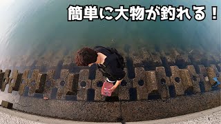 そんなに苦労しなくても水辺から簡単にバリでかい大物が釣れる（830話目）