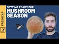 NOW is the time to get ready for Mushroom Season (Tips, Tools, and Mushrooms To Find)