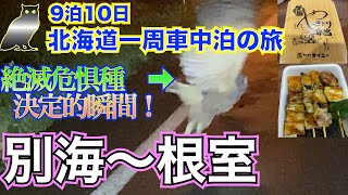 【9泊10日北海道一周　車中泊の旅　vol.28】9日目④　絶滅危惧種のアレが行手を阻む❗️決定的瞬間を見逃すな❗️❗️　根室のコンビニグルメ　タイエーのやきとり弁当　穴場温泉「野付温泉　浜の湯」