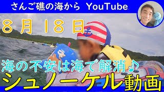 【石垣島の海】8月18日　見えない心の壁を越えていこう！シュノーケリングツアーの動画