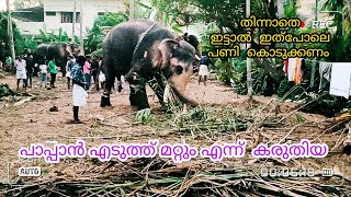 പാവം  ആന തിന്നത് ഇനി ബാക്കി ഇട്ടാൽ ഇങ്ങനെ തന്നെ  ചെയ്യിക്കണം