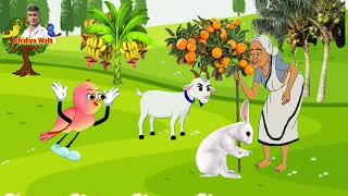 चिड़िया और दयालु बुढ़िया | Hindi moral story | tuni Chidiya Cartoon story | Bakri wala cartoon