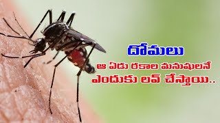 ఆ 7 రకాల వ్యక్తులెవరో తెలుసా? శాస్త్రవేత్తల పరిశోధనల ఫలితం ఏం చెబుతోంది?