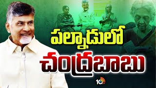 పల్నాడులో చంద్రబాబు | Pension Distribution | CM Chandrababu | Palnadu | 10TV