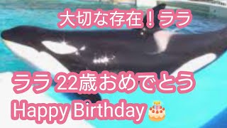 ララ22歳おめでとう🎂/ララの優しさ/生まれて来てくれてありがとう/鴨川シーワールド