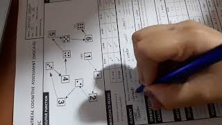 Montreal cognitiva assessment (Moca -B)