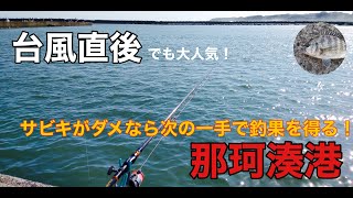 【釣行記録vol.20那珂湊港2021.10.2】台風通過直後でも大人気！サビキでも釣れない日の次の一手