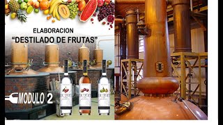 DESTILADOS DE FRUTAS 2024