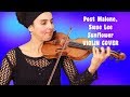 Post Malone, Swae Lee 🎻 Sunflower 🎻 Violin Cover