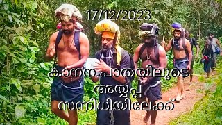 എരുമേലി to പമ്പ 🙏🏼 കാട്ടിലൂടയുള്ള യാത്ര