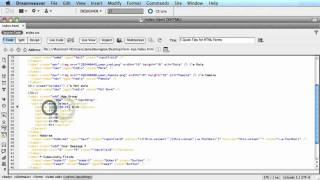 5 Quick Tips for HTML Forms
