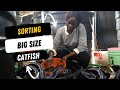 Sorting Catfish for Grow Ponds: A How-to Guide