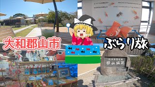 【奈良ぶらり旅】金魚と城の町、大和郡山市へ！外堀緑地・郡山城跡・こちくや・金魚ストリート【ゆっくりvlog旅行】奈良県観光地巡り一人旅part11・グルメ・ホテル・観光スポットを紹介！