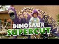 Dino Dana | Season 1 Dino Supercut | Michela Luci, Saara Chaudry, Nicola Correia-Damude