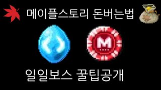 [메이플 돈벌이] 메린이는 꼭 보세요 일일보스를 잡아야하는 이유