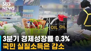 3분기 경제성장률 0.3%…실질구매력은 코로나 이래 최저 / SBS