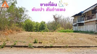 ที่ดินตำบลต้นเปา อำเภอสันกำแพง จังหวัดเชียงใหม่ ใกล้ตลาดเจริญเจริญ