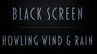 Howling Wind & Rain Sounds | Pure Black Screen For Uninterrupted Sleep | Fall asleep fast | 8Hrs