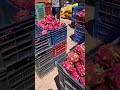 dragonfruit #wholesale #market #tasty #shorts #ytshorts #subscribe