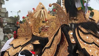 Ngiring Ida sesuhunan jagat Tegal suci melancaran ring pisang kaja