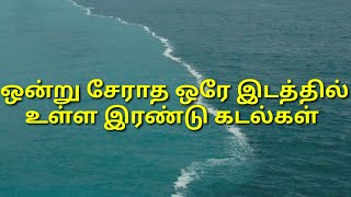 ஒரே இடத்தில் உள்ள ஒன்று சேராத இரண்டு கடல்கள்