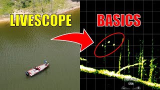 How To Master The Forward Facing Sonar For Bass Fishing