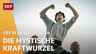 Die mystische Kraftwurzel | Sagen – SRF bi de Lüt - Live (Sörenberg LU) | SRF