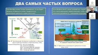 Как защитить азот и фосфор из минеральных удобрений в почве?