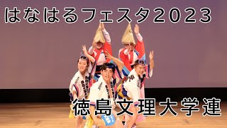 阿波踊り 徳島文理大学連 はなはるフェスタ2023 礼に始まり礼に終わる！！ AwaOdori is a traditional Japanese performing art.